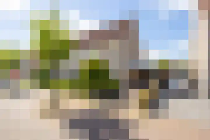 Vlet 43 Werkendam thumbnail 56