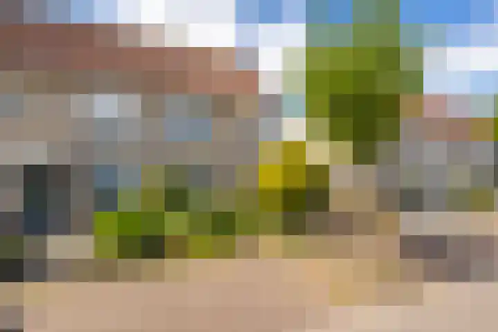 Vlet 43 Werkendam thumbnail 6