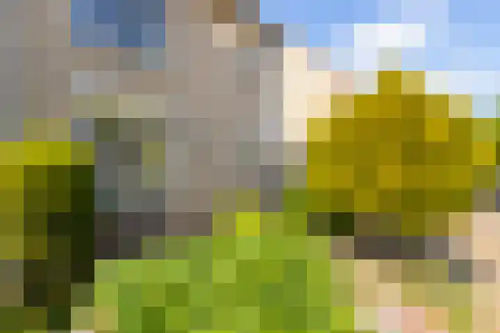 Vlet 43 Werkendam thumbnail 7