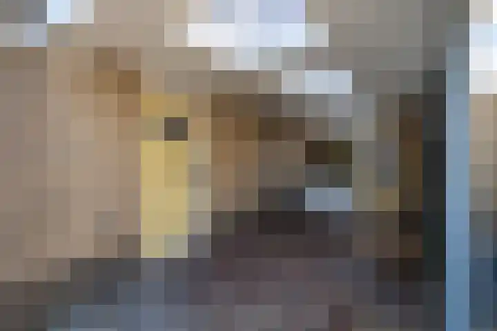 Vlet 43 Werkendam thumbnail 9