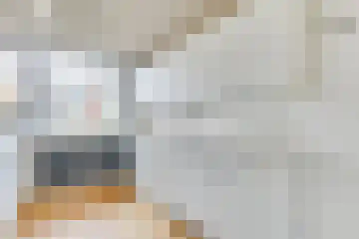 Vlet 6 Obdam thumbnail 11