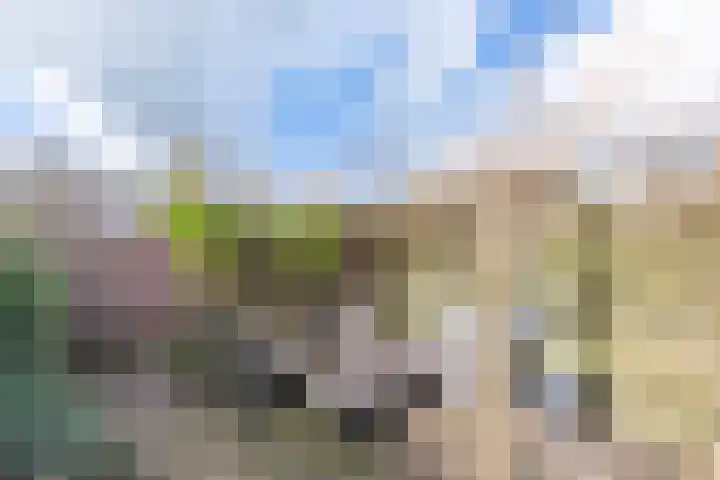 Vlet 6 Obdam thumbnail 36