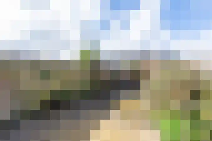 Vlet 6 Obdam thumbnail 37