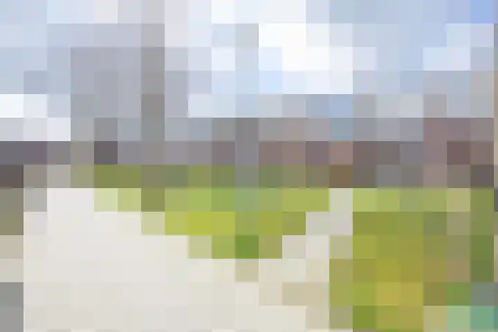 Vlet 6 Obdam thumbnail 41
