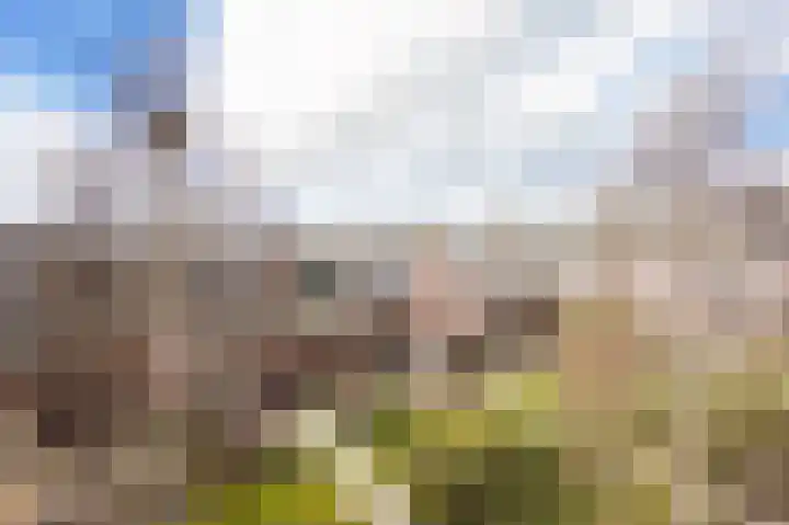 Vlet 6 Obdam thumbnail 42