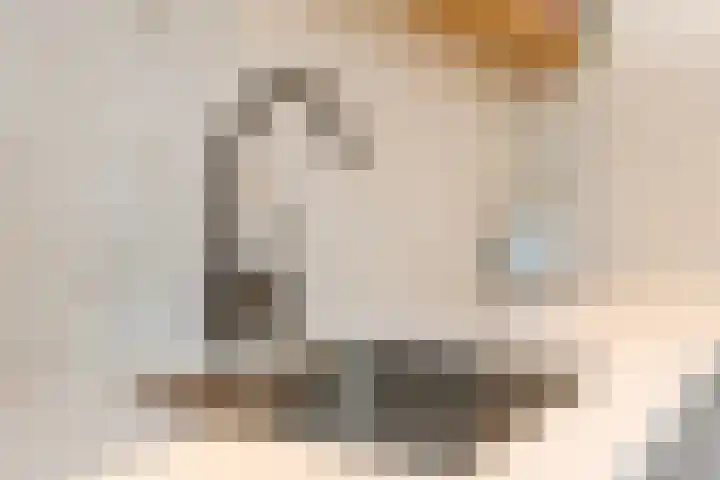 Vlettevaart 18 Tilburg thumbnail 18