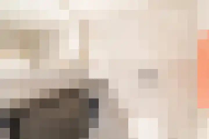 Vlettevaart 18 Tilburg thumbnail 28