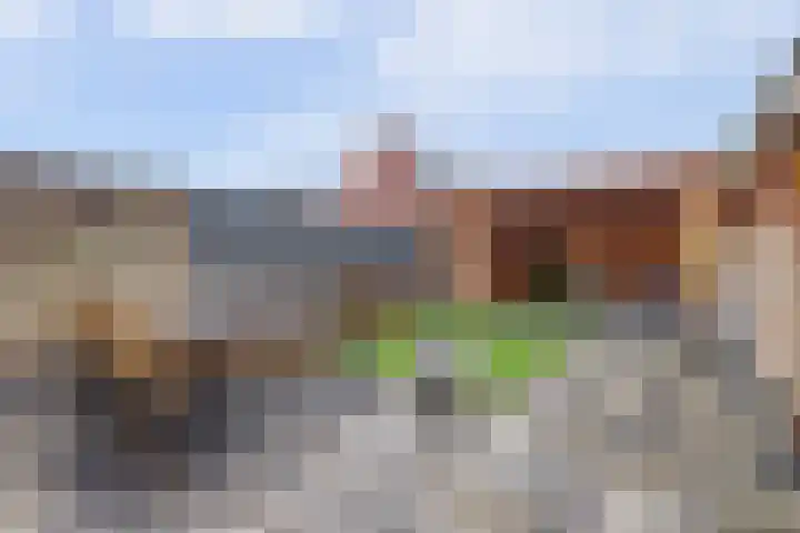 Vleumingen 8 Gendt thumbnail 21