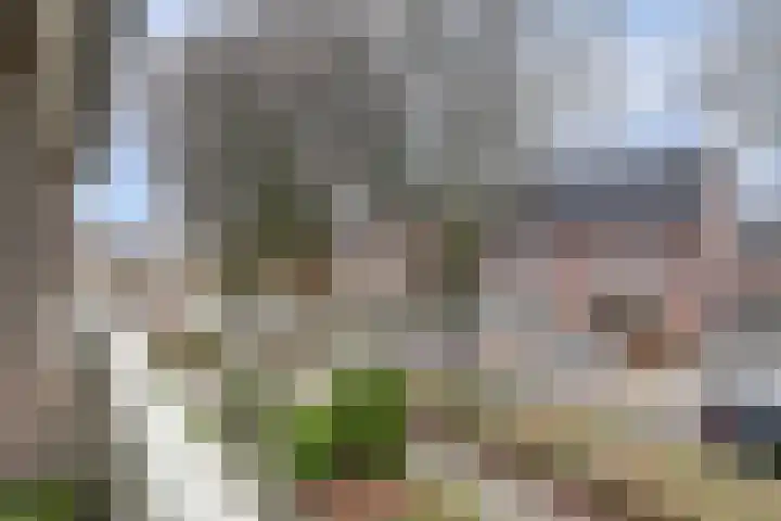 Vleumingen 8 Gendt thumbnail 33