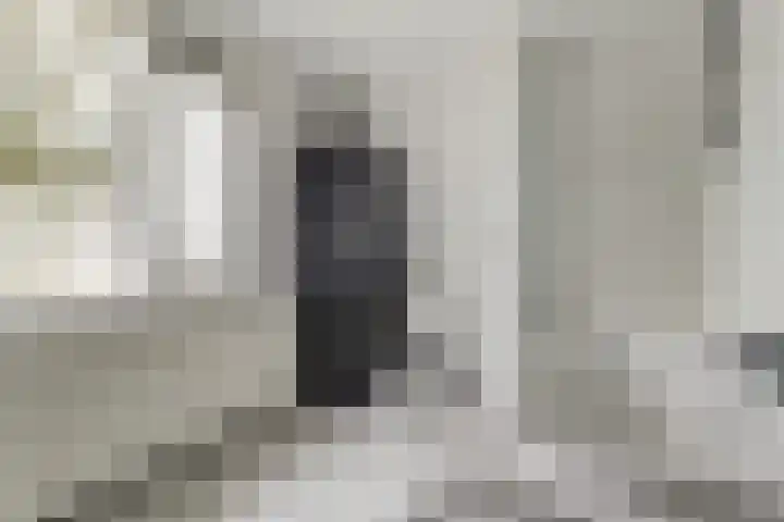 Vleumingen 8 Gendt thumbnail 35