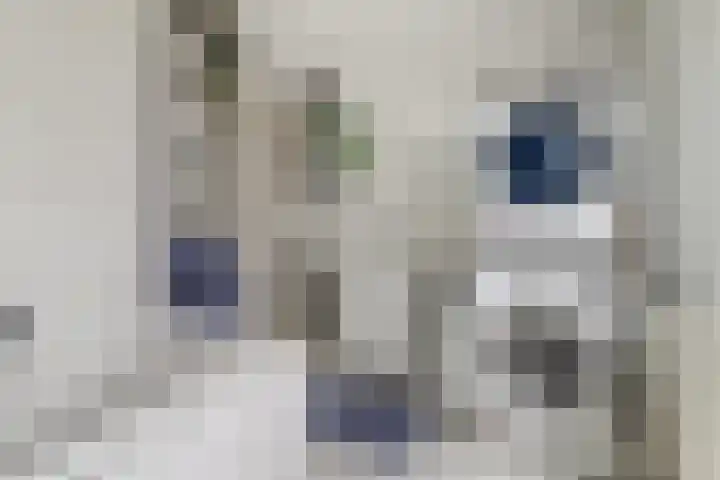 Vleumingen 8 Gendt thumbnail 36
