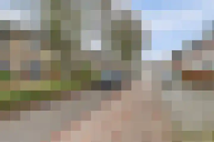 Vleumingen 8 Gendt thumbnail 50