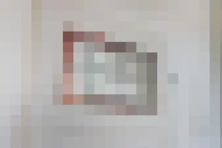 Vleumingen 8 Gendt thumbnail 53