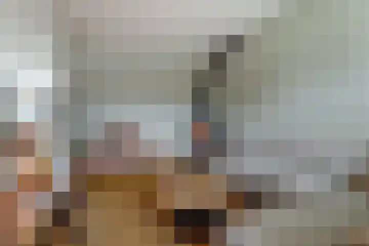 Vleumingen 8 Gendt thumbnail 9
