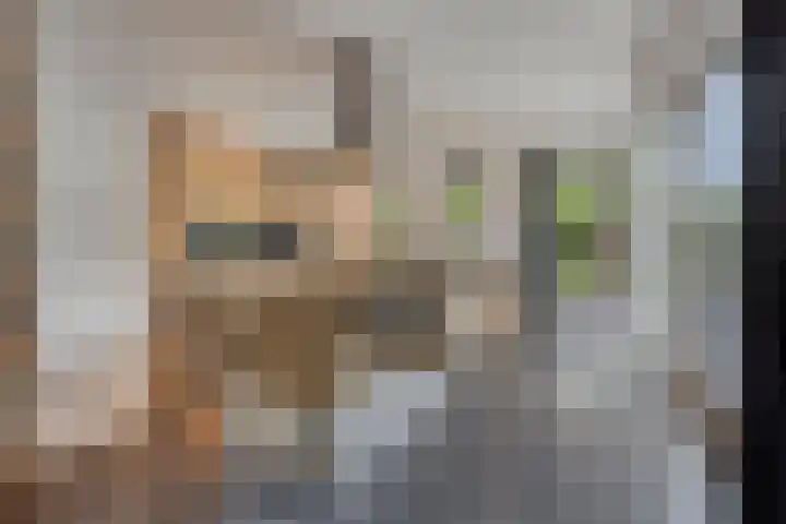 Vleutloop 11 Heesch thumbnail 16