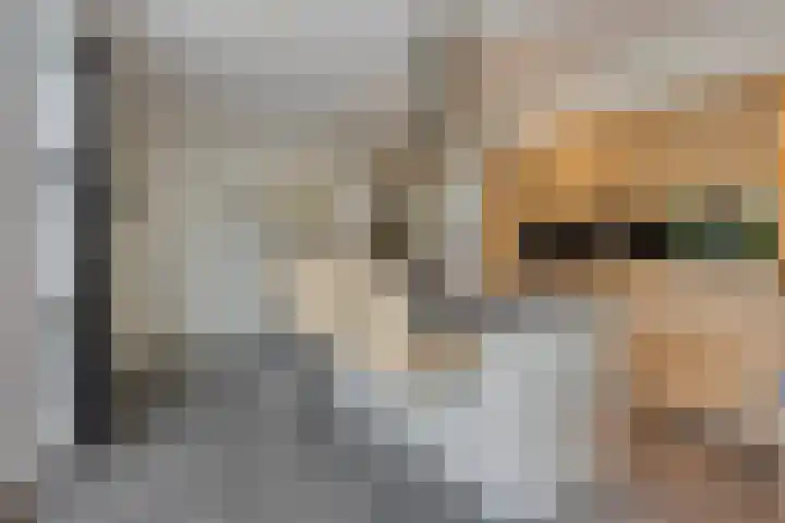 Vleutloop 11 Heesch thumbnail 17