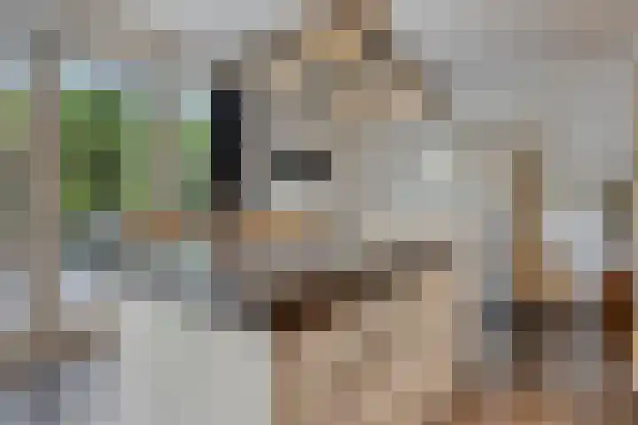 Vleutloop 11 Heesch thumbnail 18