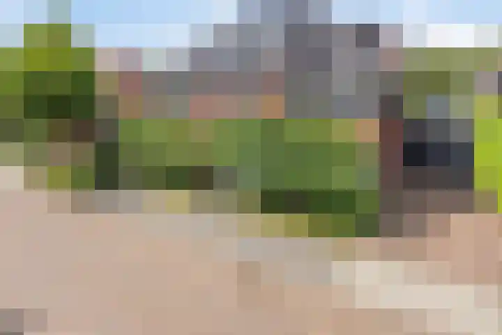 Vleutloop 11 Heesch foto 2