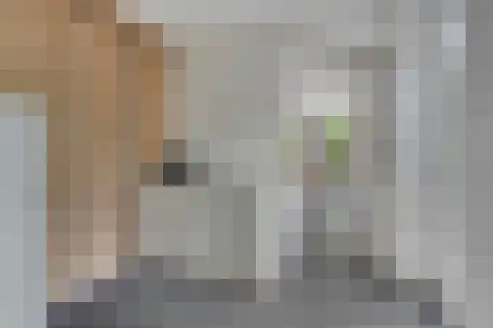 Vleutloop 11 Heesch thumbnail 21