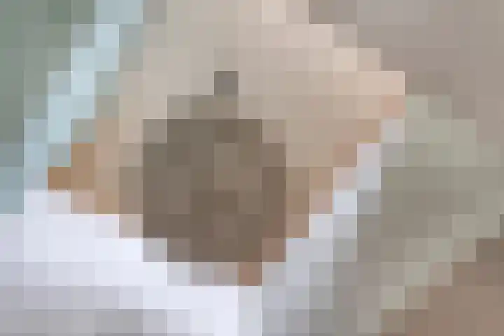 Vleutloop 11 Heesch thumbnail 26