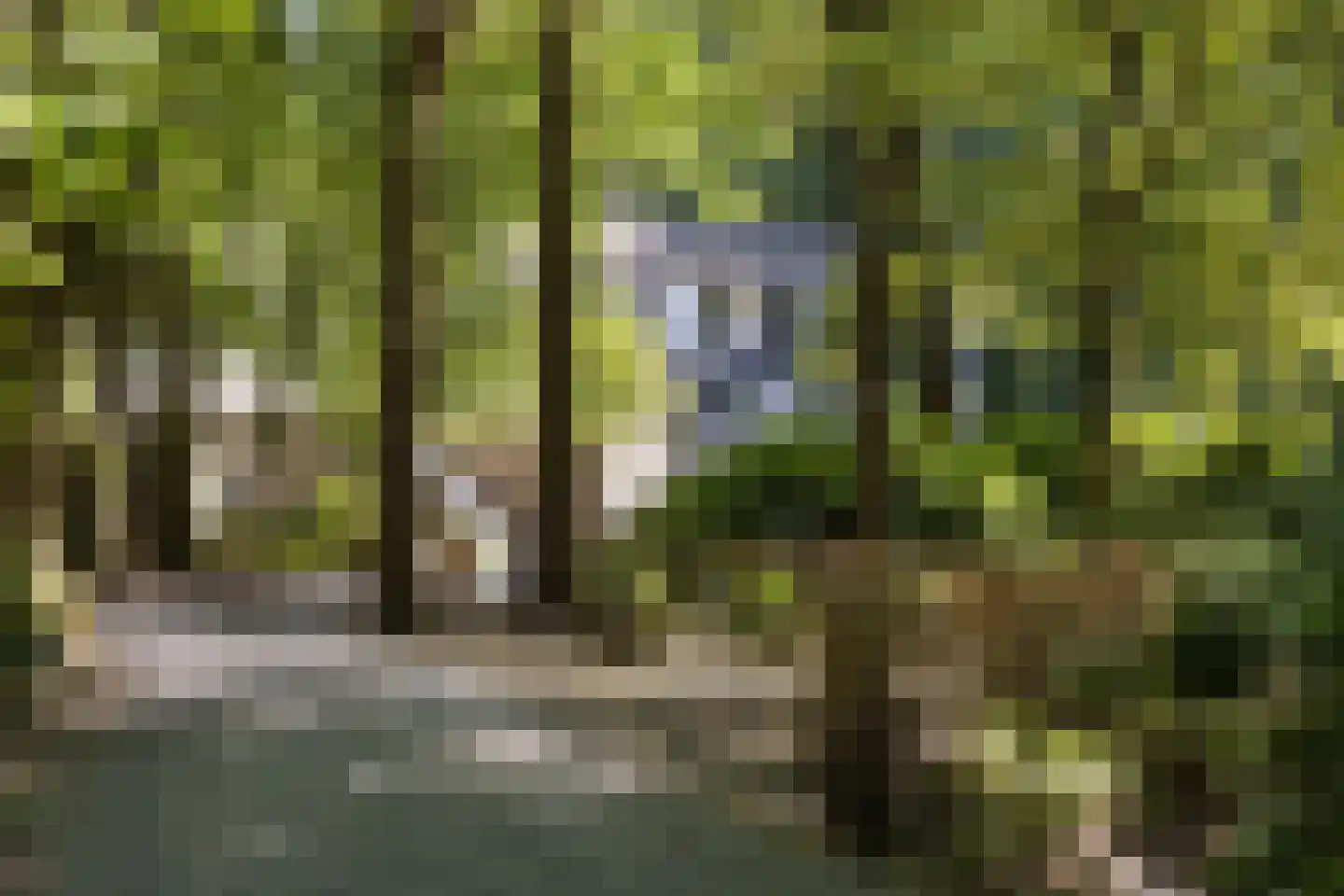 Vleutloop 11 Heesch thumbnail 32