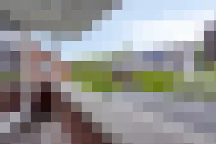 Vleutloop 11 Heesch thumbnail 32