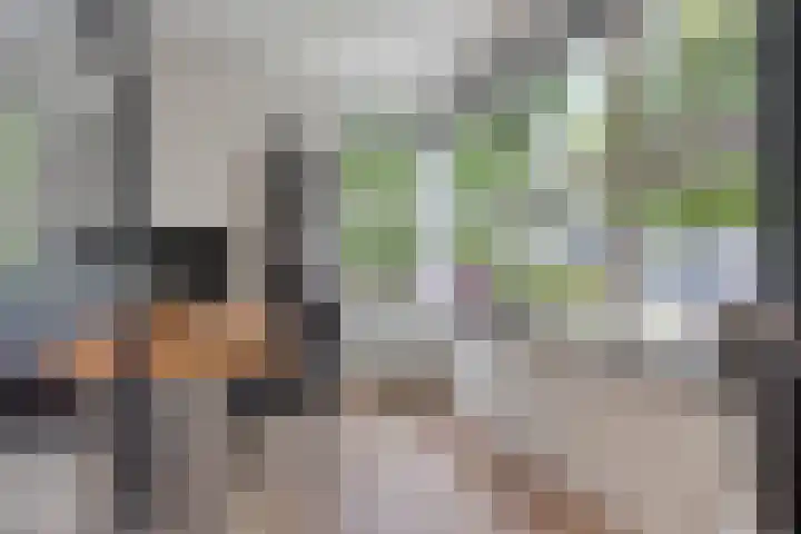 Vleutloop 11 Heesch thumbnail 5