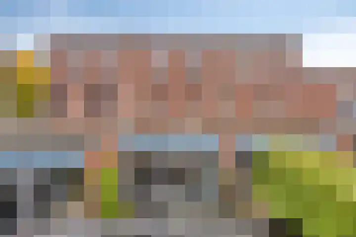 Vleutloop 22 Heesch thumbnail 32