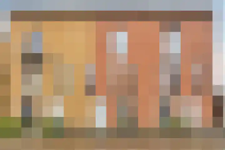 Vleutloop 22 Heesch thumbnail 34