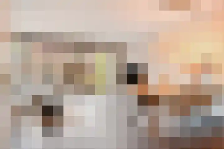 Vleutloop 22 Heesch thumbnail 6