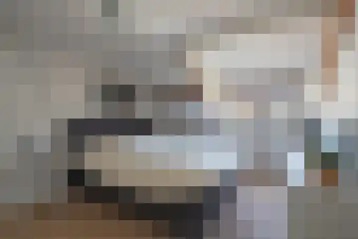 Vliegenstraat 44 Bunde thumbnail 14