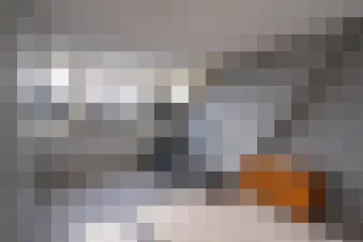 Vliegenstraat 44 Bunde thumbnail 16