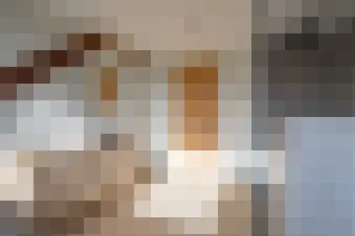 Vliegenstraat 44 Bunde thumbnail 18