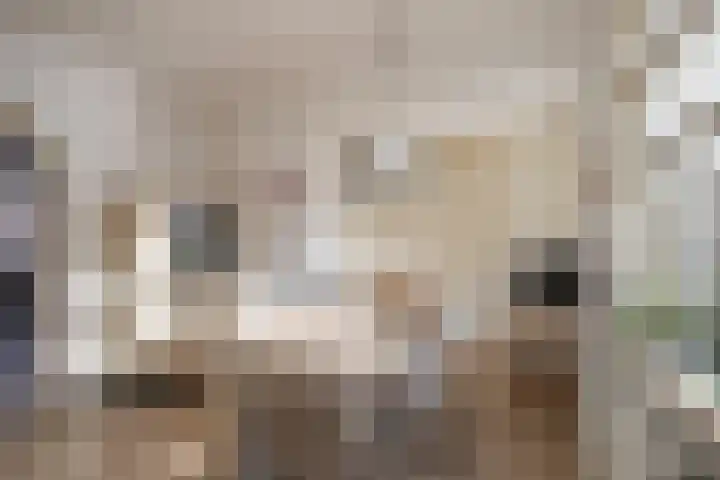Vliegenstraat 44 Bunde thumbnail 7