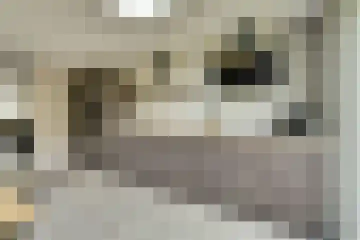 Vliegeren 11 Best thumbnail 12