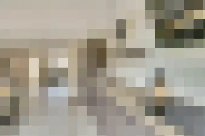 Vliegeren 11 Best thumbnail 13