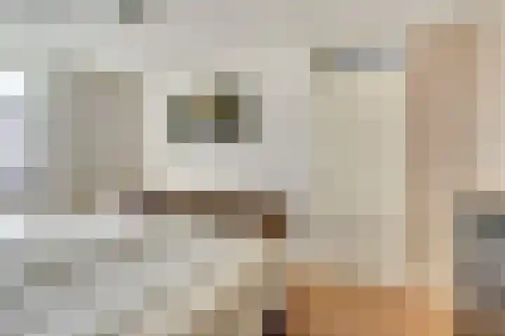 Vliegeren 11 Best thumbnail 16
