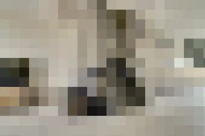 Vliegeren 11 Best thumbnail 9