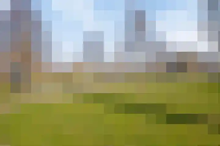 Vliehors 16 Lelystad thumbnail 36