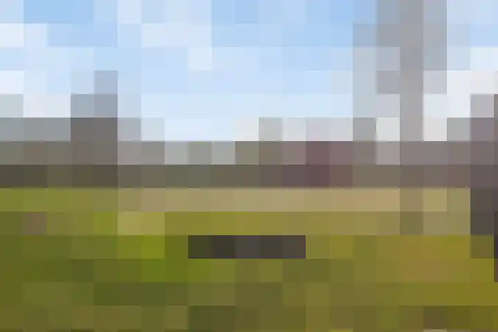 Vliehors 16 Lelystad thumbnail 38