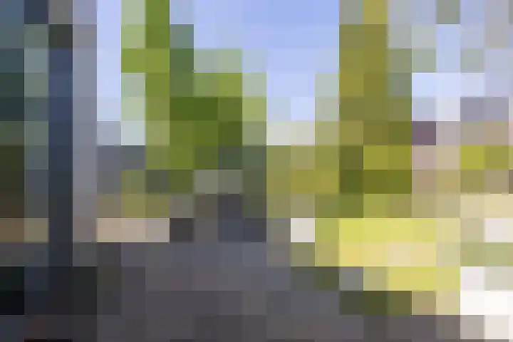 Vlieland 51 Heemskerk thumbnail 10