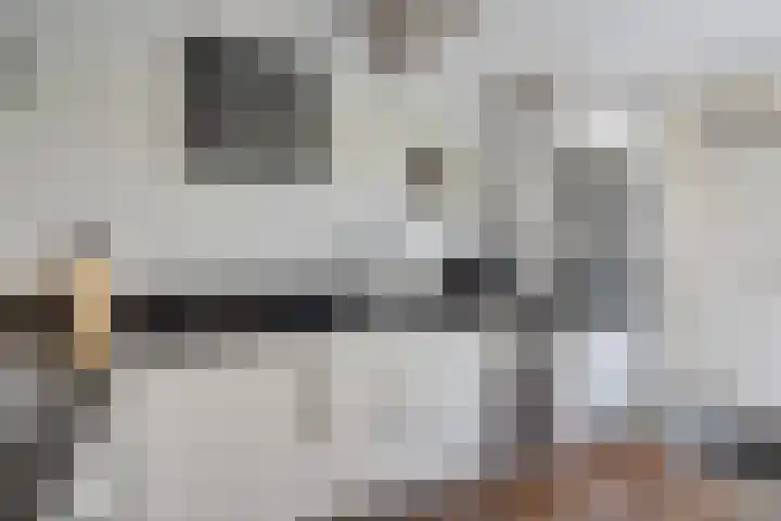 Vlielandlaan 13 Duiven thumbnail 16