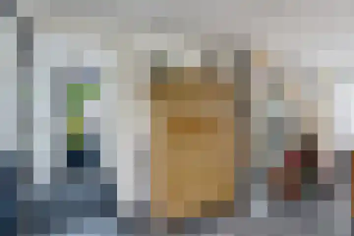 Vlielandlaan 13 Duiven thumbnail 19