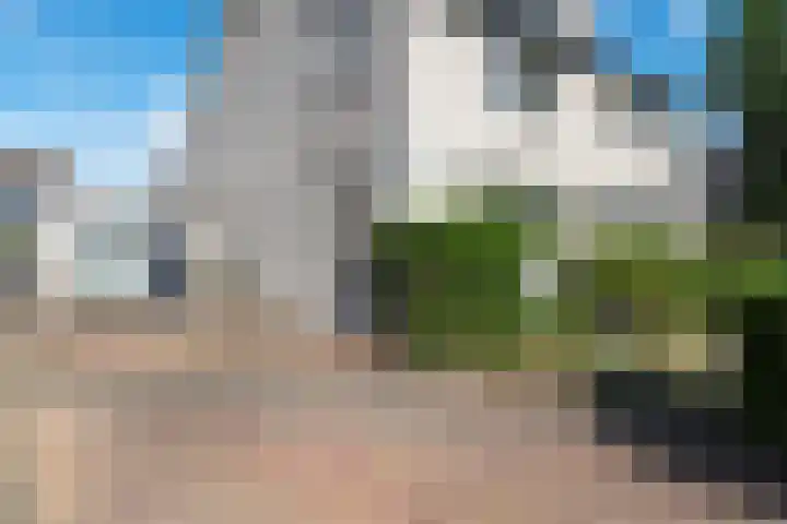 Vlielandlaan 13 Duiven thumbnail 44