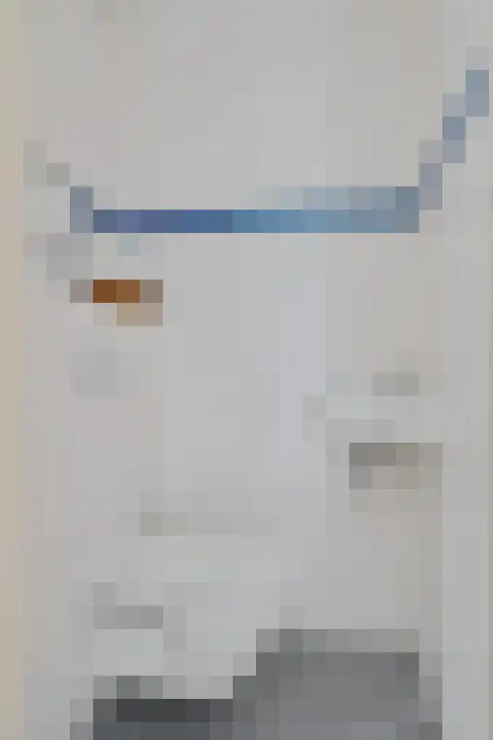 Vlielandlaan 13 Duiven thumbnail 8
