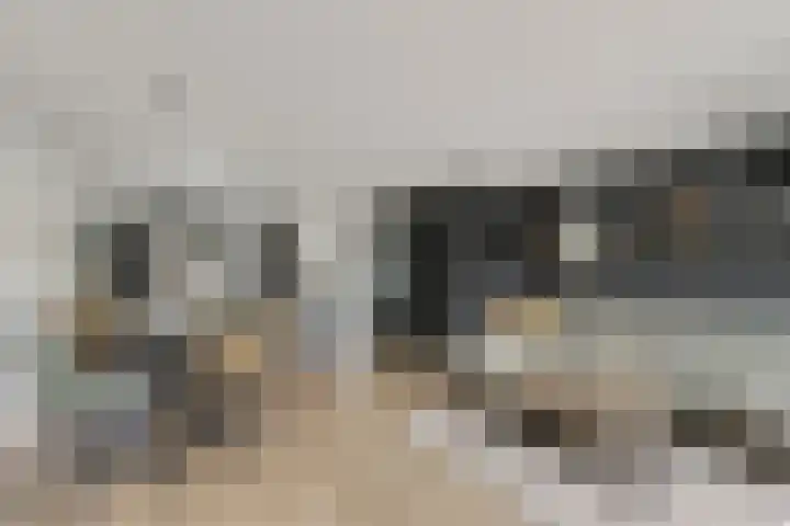 Vlielandlaan 21 Duiven thumbnail 10