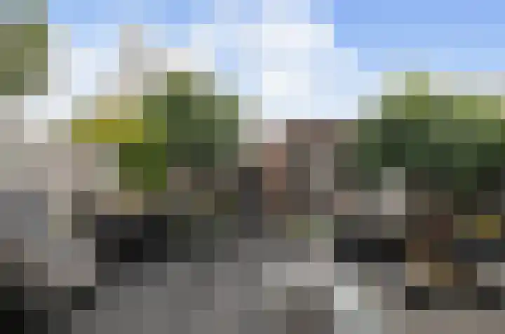 Vlielandlaan 21 Duiven thumbnail 16