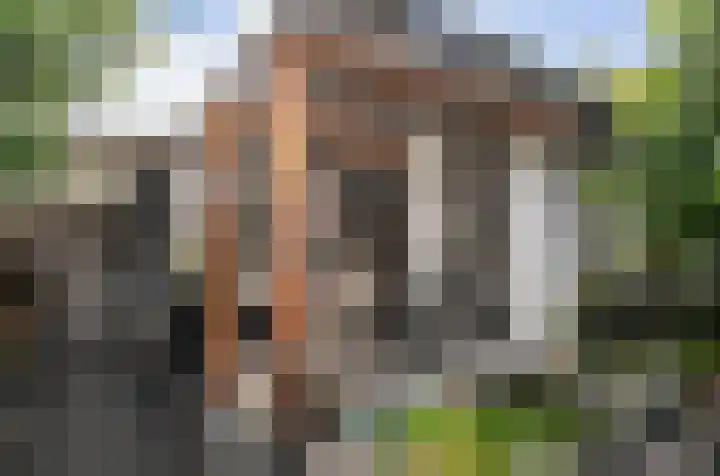 Vlielandlaan 21 Duiven thumbnail 17
