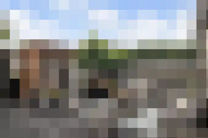 Vlielandlaan 21 Duiven thumbnail 18