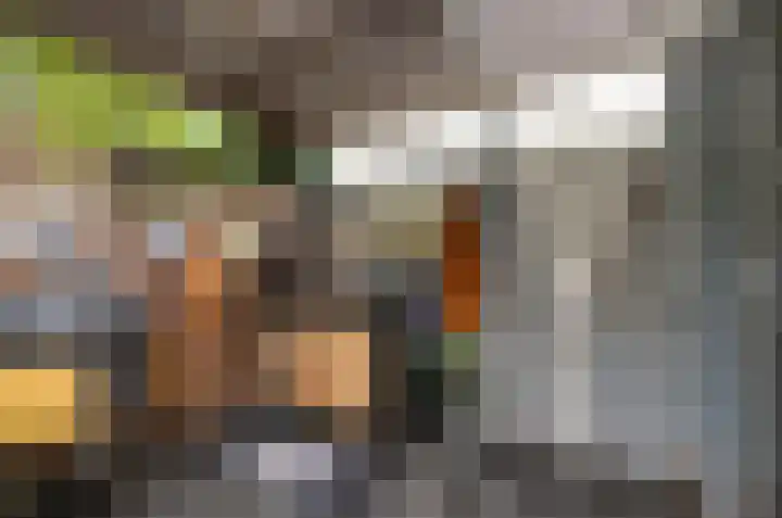 Vlielandlaan 21 Duiven thumbnail 21